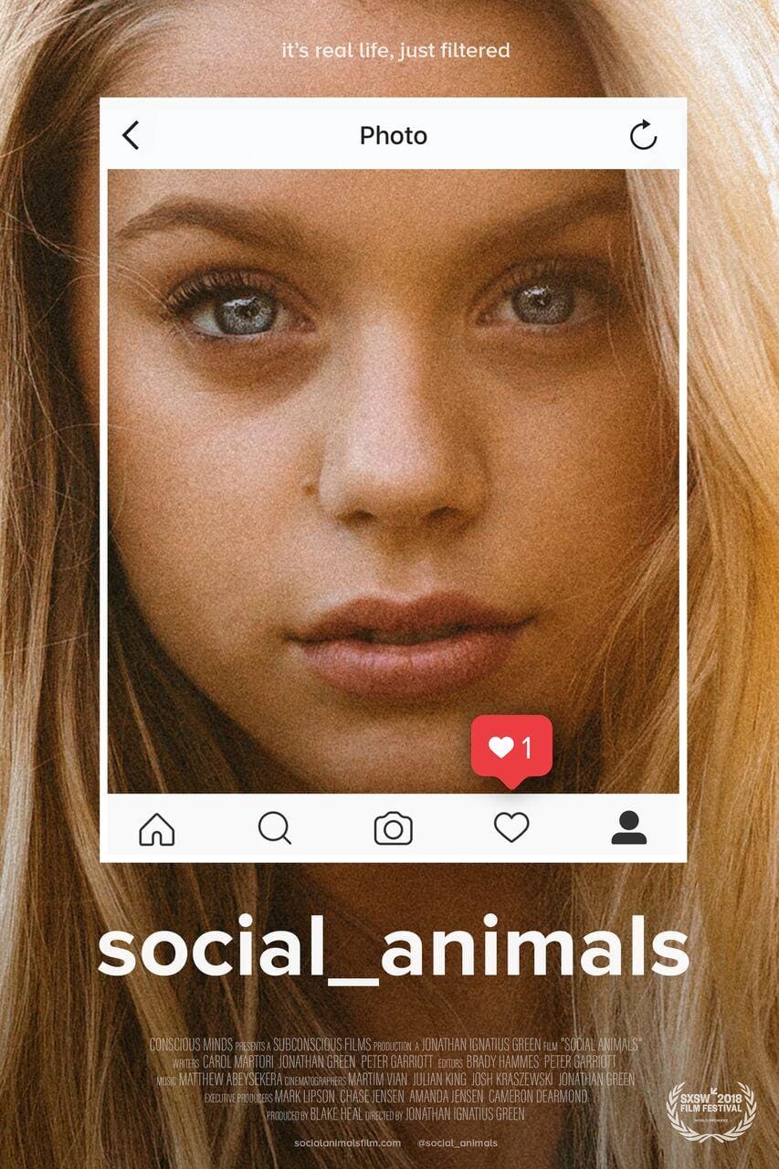 Social Animals (2018) Full Poster HD — Watch & Download on MovieBox