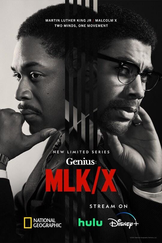 Genius S1-S4 (2017) Full Poster HD — Watch & Download on MovieBox