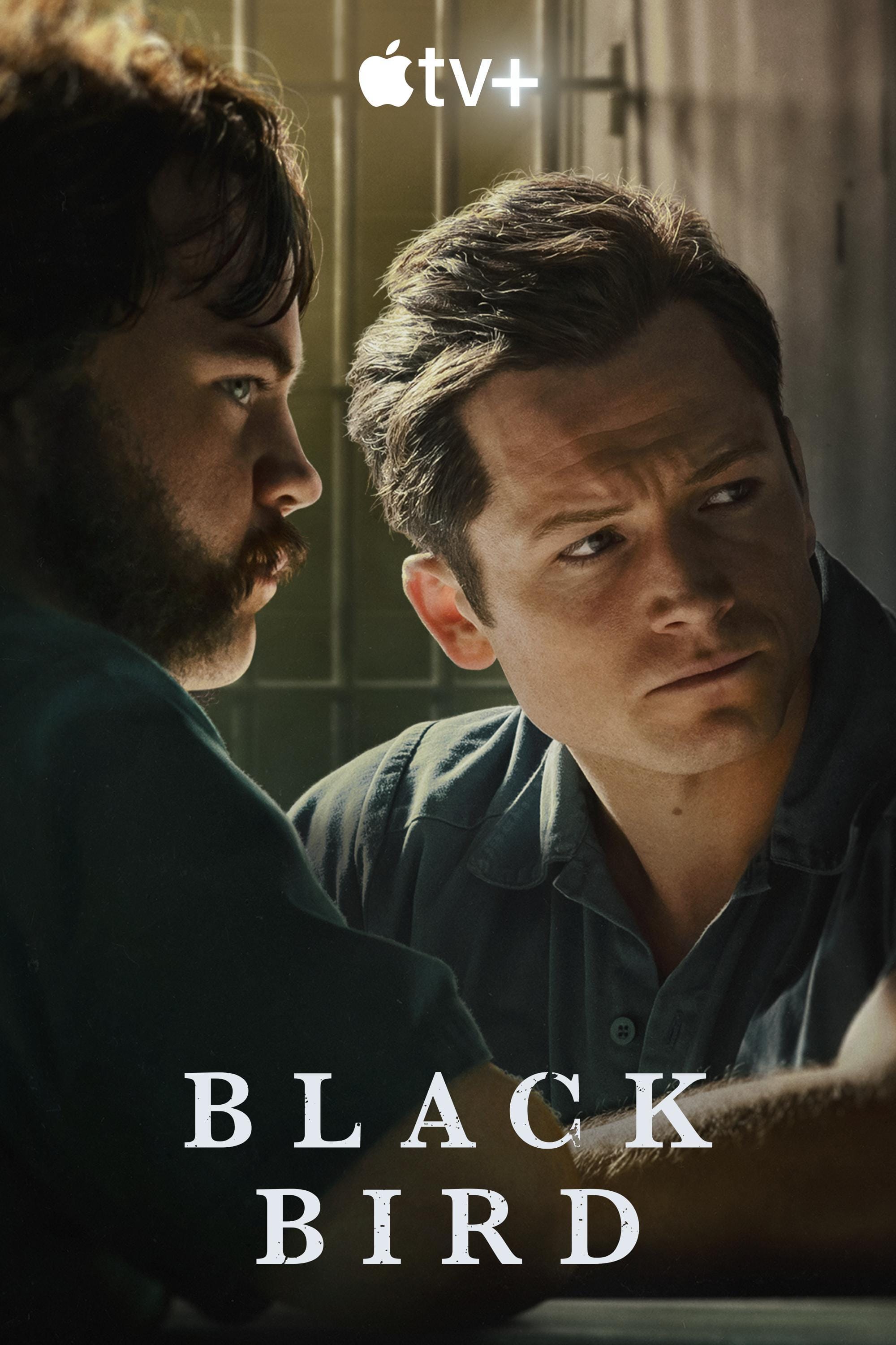 Black Bird (2022) Full Poster HD — Watch & Download on MovieBox