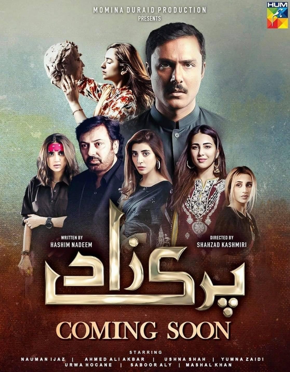 Parizaad (2021) Full Poster HD — Watch & Download on MovieBox